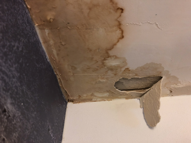 Ceiling Leak