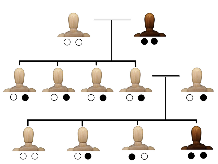 Recessive inheritance and dominant inheritance